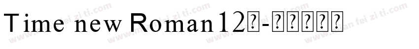 Time new Roman12号字体转换